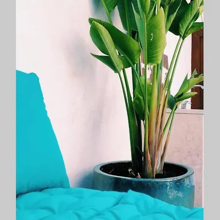 Estrela 21- With Private Pool * Lisbon